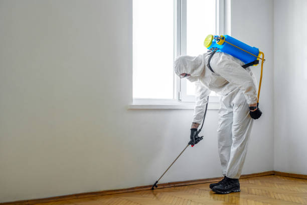 Best Residential Pest Control  in Danville, IA