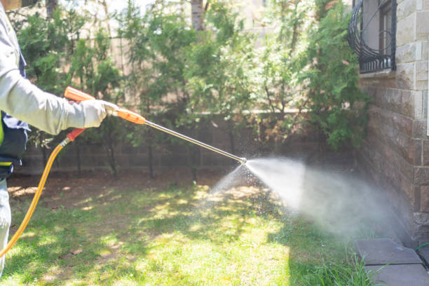 Best Mosquito Control Services  in Danville, IA