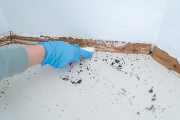 Best Best Pest Control Companies  in Danville, IA