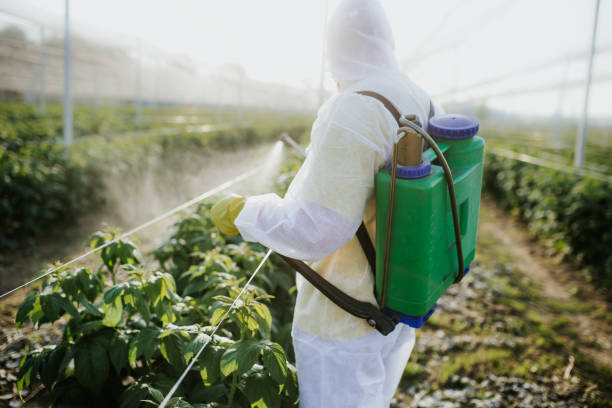 Best Pest Inspection Near Me  in Danville, IA